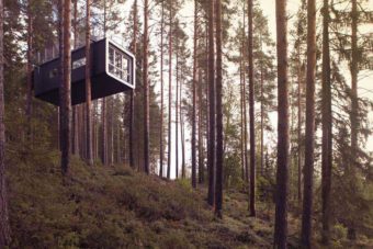 Treehotel-cabin-1_0