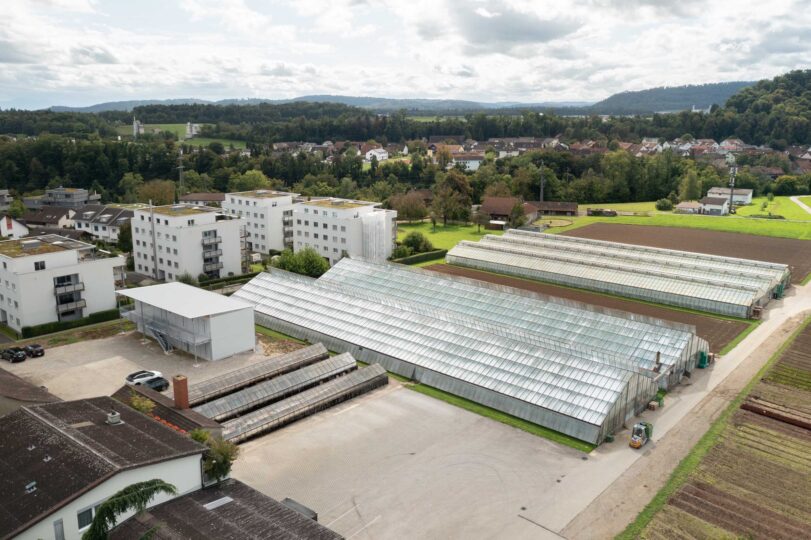 Birmenstorf 07 low res