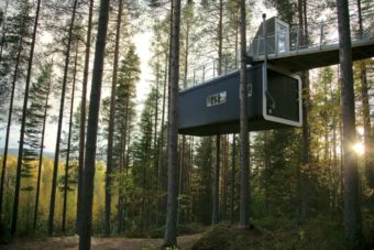 Treehotel-5