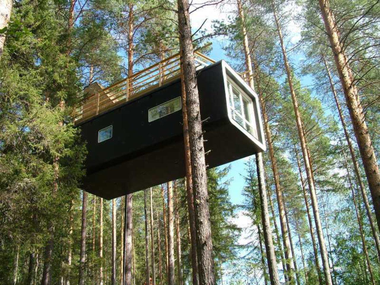 Treehotel-cabin-1