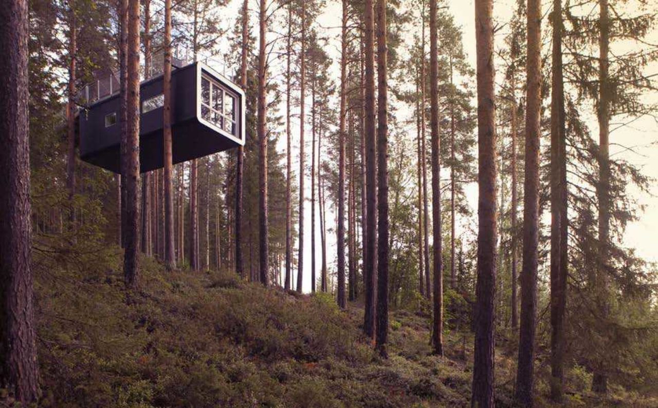 Treehotel-cabin-1_0